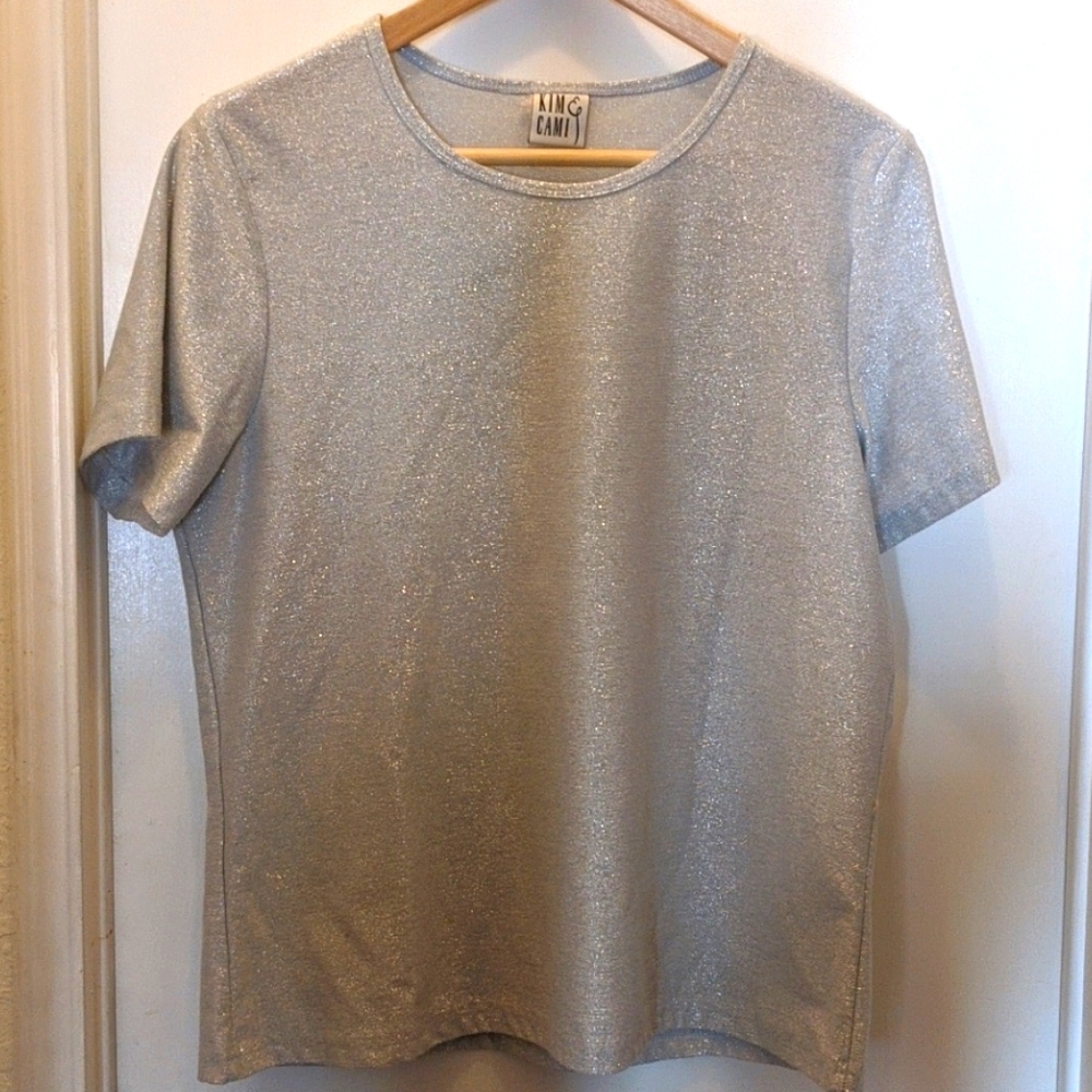 Vintage Silver Shimmering Top